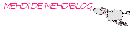 MEHDI DE MEHDIBLOG-copie-1