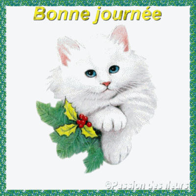 L Humour Des Chats On M A Decrit Ta Journee Ainsi Fahtia Nasr Art Scrapbooking Et Litterature