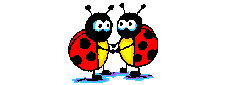 insectes-coccinelle-00023.gif