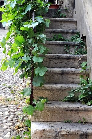 Perouges-66b.jpg