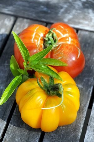 Salade-de-tomates-2b.jpg