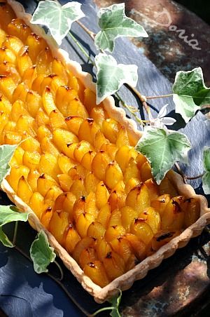 Tarte-aux-mirabelles-4b-copie-1.jpg