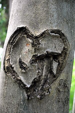 Parc-du-patis-15b.jpg