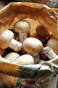 Veloute-de-champignons-2b.jpg