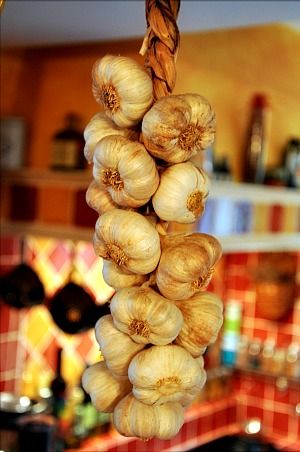 Filet-de-rouget-5b.jpg