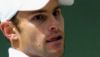 profile-federer-sm