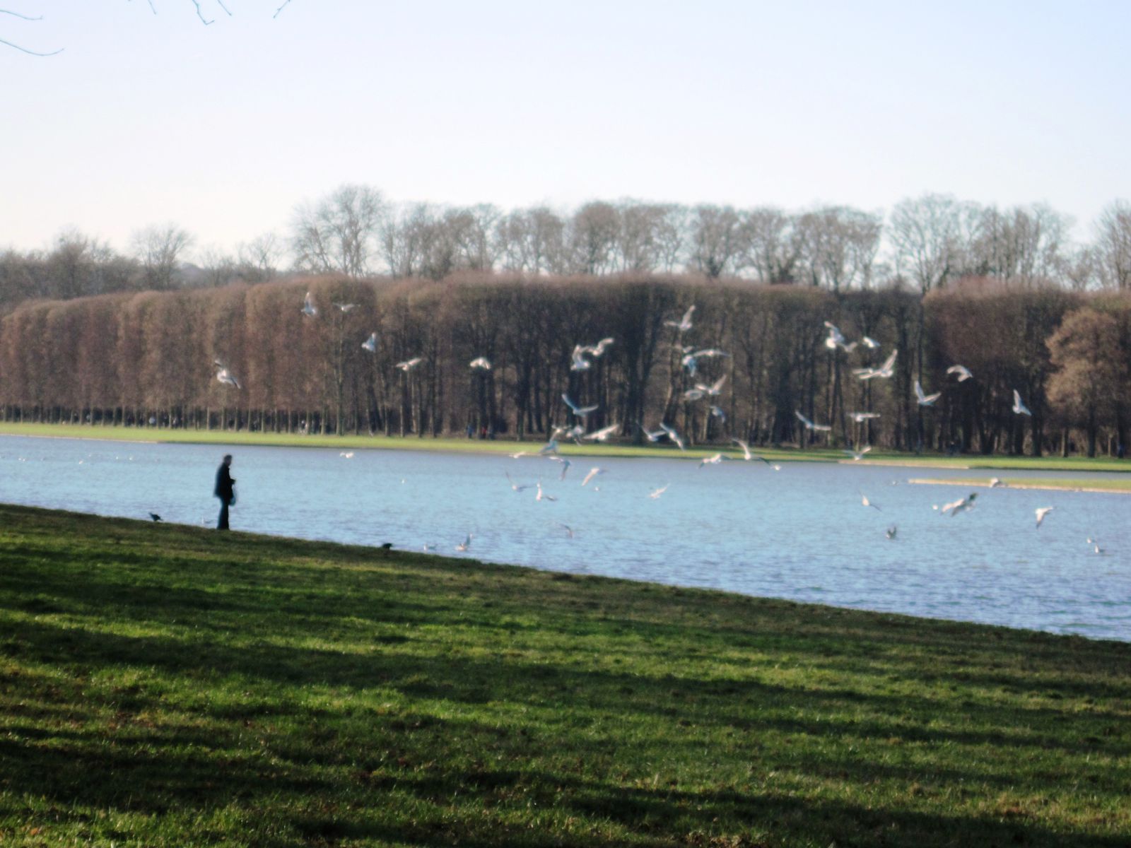 Promenade "libre de droits" le 16 janvier 2011 dans le parc du Château accessible au public gratuitement.