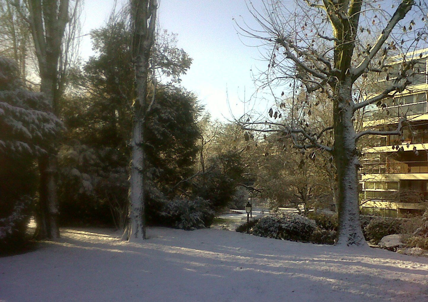 hiver 2011