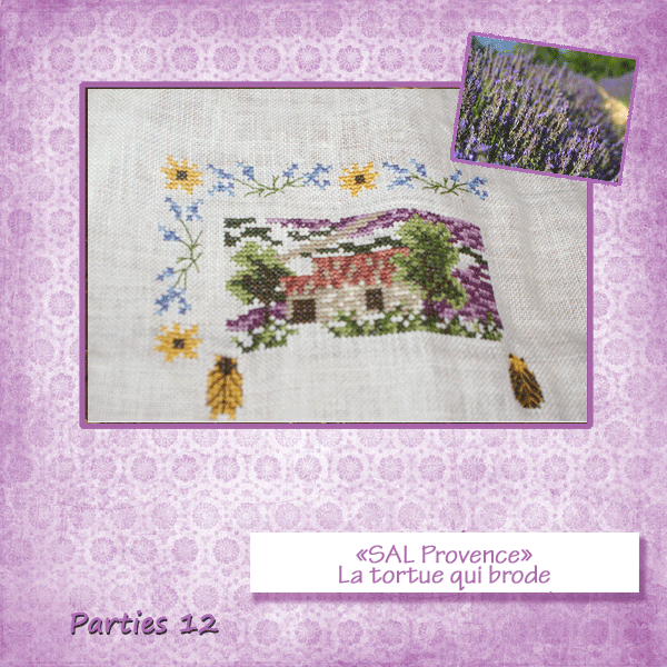 photo11 latortue provence