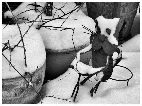 hiver-B.jpg