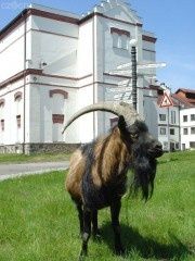 prague-velke4