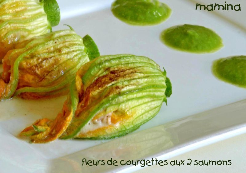 FLEURS_DE_COURGETTE2