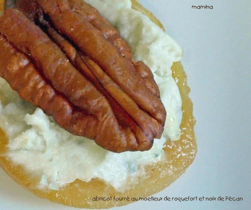 ABRICOT_ET_NOIX_DE_PECAN_AU_ROQUEFORT_2