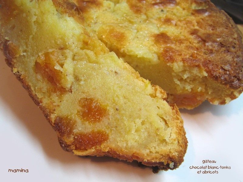 CHOCOLAT_TONKA_ET_ABRICOTS