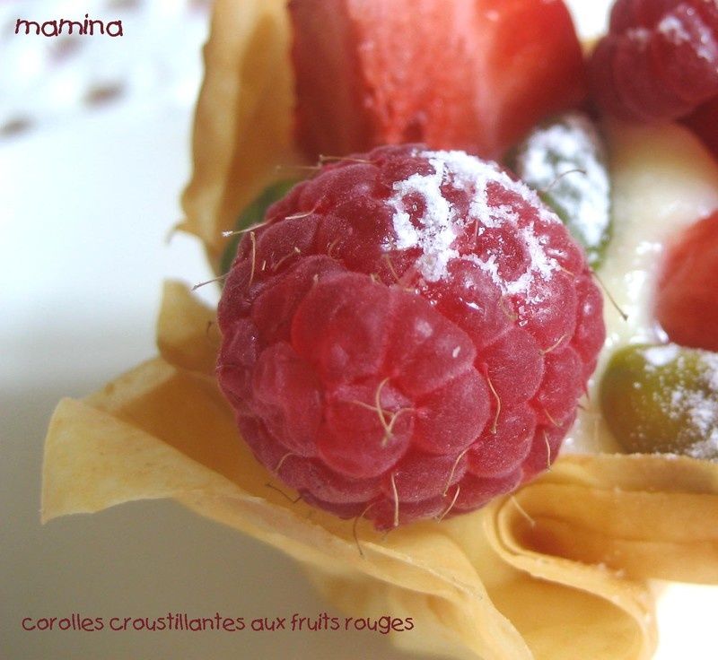 COROLLES_CROUSTILLANTES_3