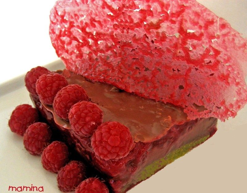 GATEAU_CHOCOLAT_PISTACHE_ET_FRAMBOISES_POUR_LE_TOP_10
