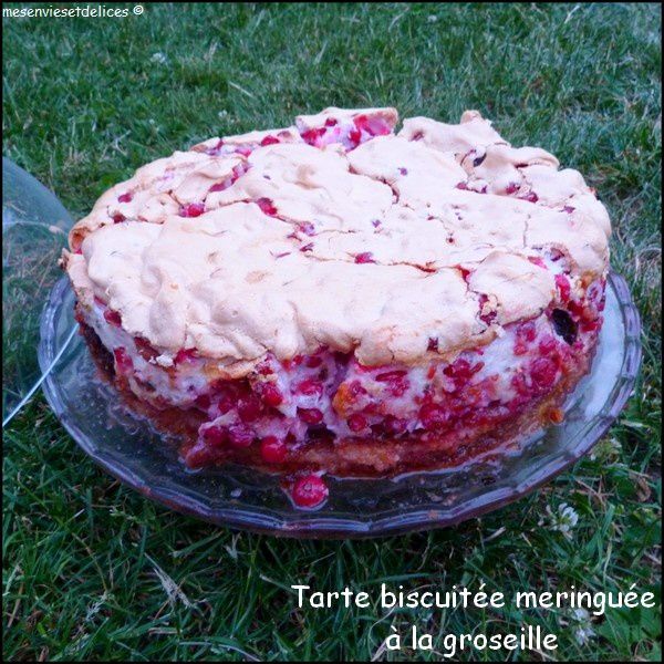 tarte-biscuitee-meringuee-a-la-groseille.jpg