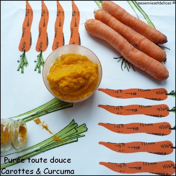 puree-carotte-curcuma-toute-douce-lignac.jpg