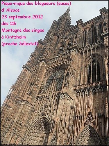 pique-nique-blog-alsace.jpg