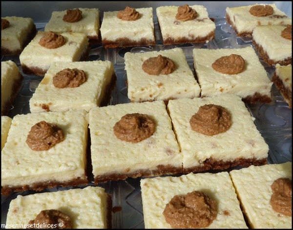 pique-nique-carre-speculoos-coco-Nadege.jpg