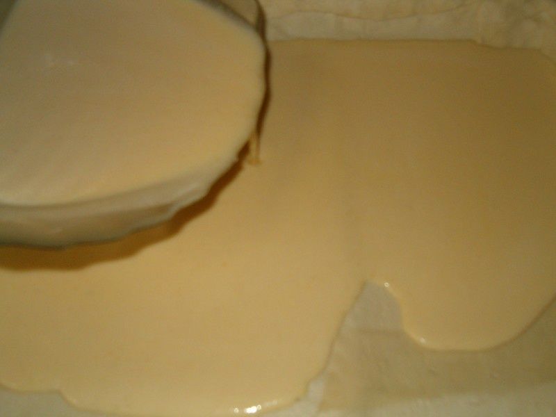 HPIM4791