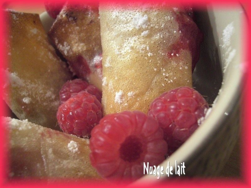 croustillants_nems_aux_fruits_et_chocolat_013