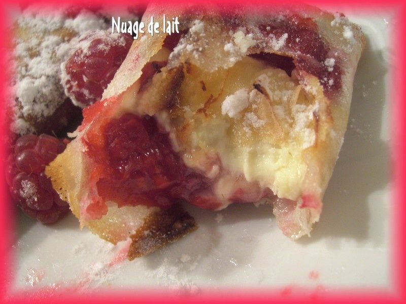 croustillants_nems_aux_fruits_et_chocolat_003