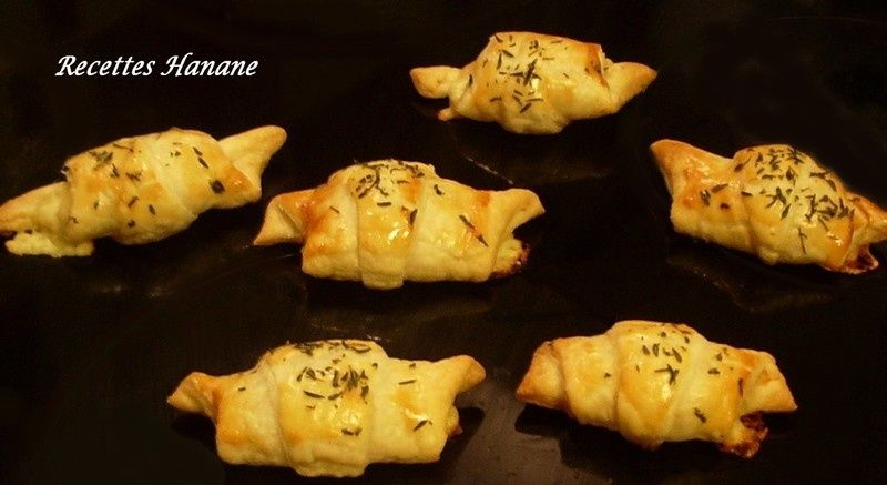 saumon_gouda