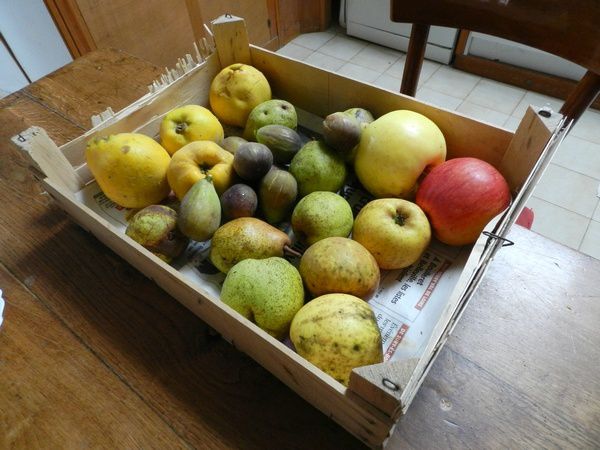 7a-caisse-fruits.JPG