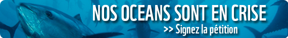 PETITION-WWF-OCEAN.png