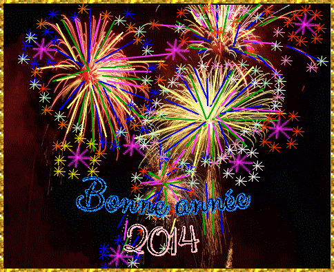 Gif-2014.gif