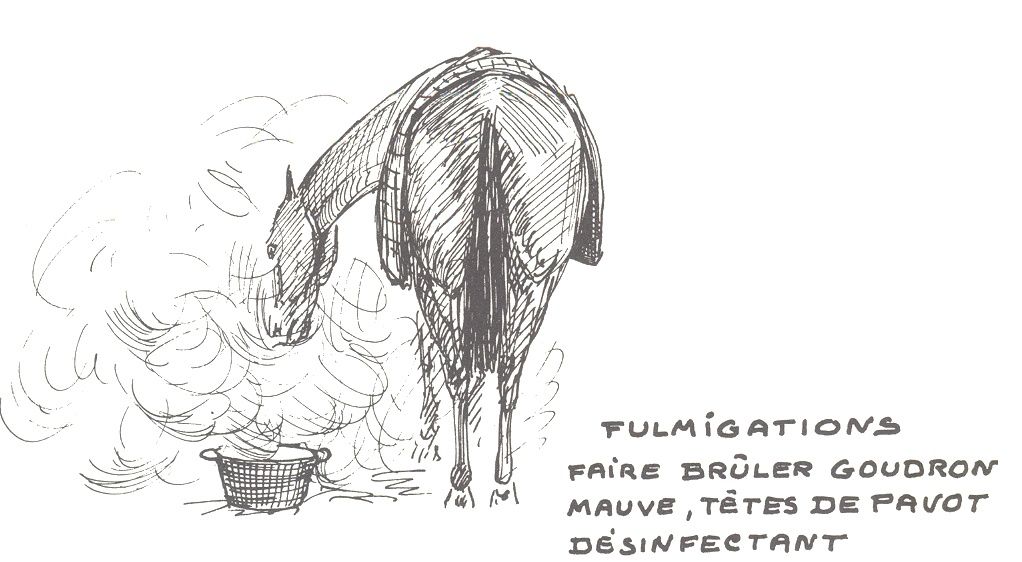 Benoist-Gironiere Y., 1963 - Cheval mon cher souci. Librairie des Champs Elysées. Fumigation 