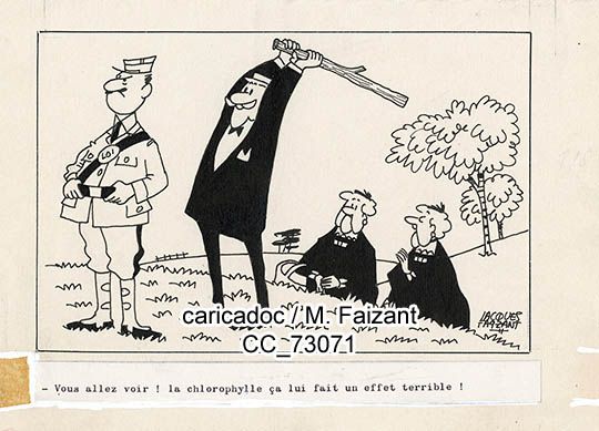 CC_73071.jpg