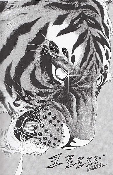 tigre01