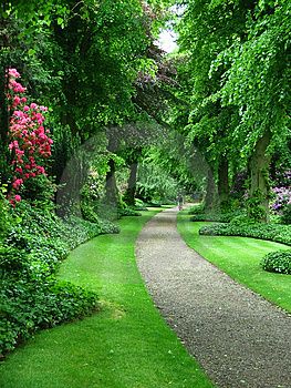 chemin.jpg
