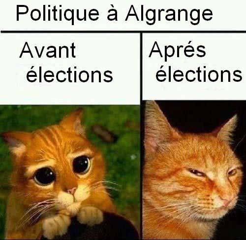 chat-politique-6_n-copie-1.jpg