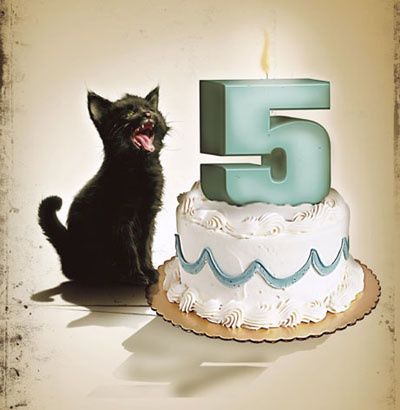 5ans.jpg