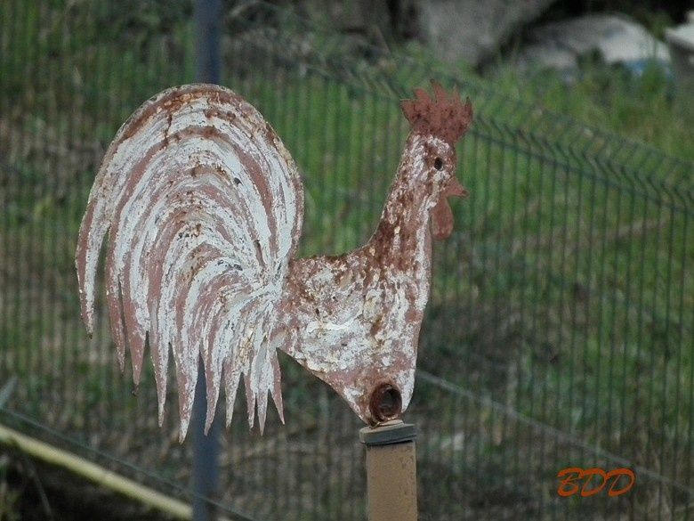 algrange-girouette-SCF5054--2-.jpg
