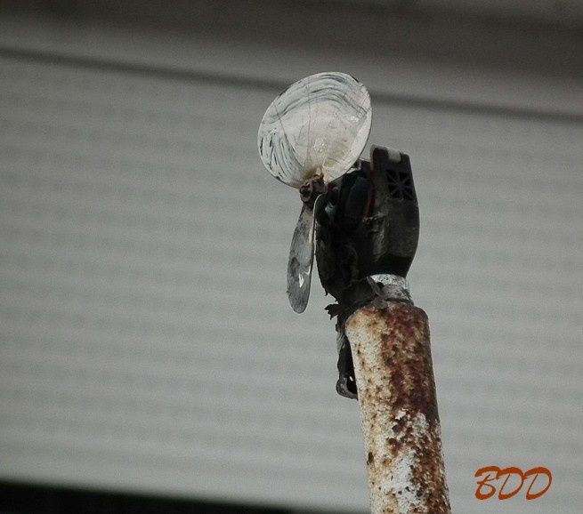 algrange-girouette-SCF5054--4-.jpg