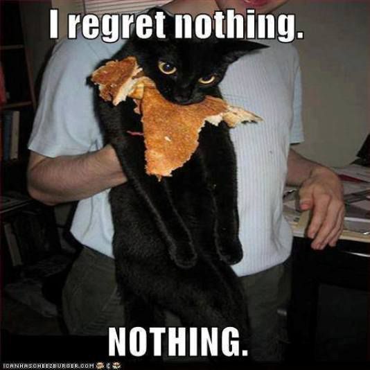 chat-aucun-regret-.jpg