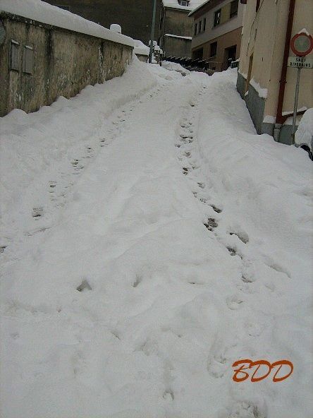 algrange-neige-_3854--3-.jpg