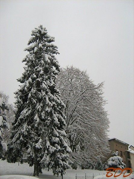 algrange-neige-_3854--4-.jpg
