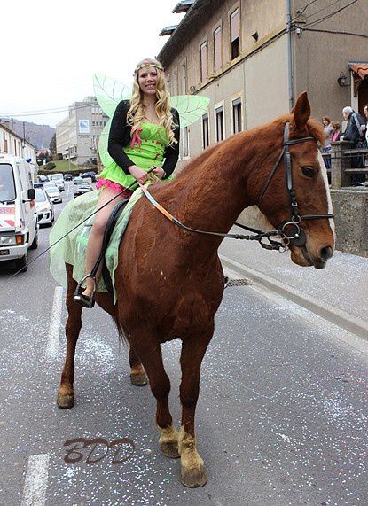 algrange-carnaval-2013-2144.jpg