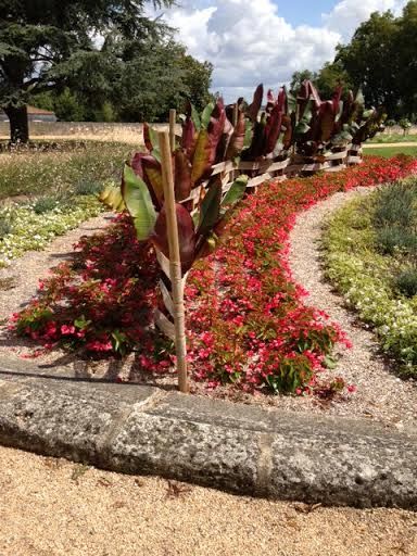 Plantes 1