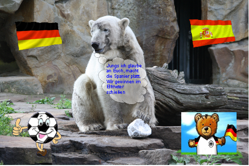 Knut WM Deutschland Spanien