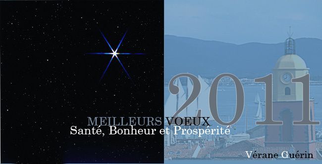 Voeux2011.jpg