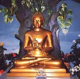 bouddha-sous-l-arbre.jpg