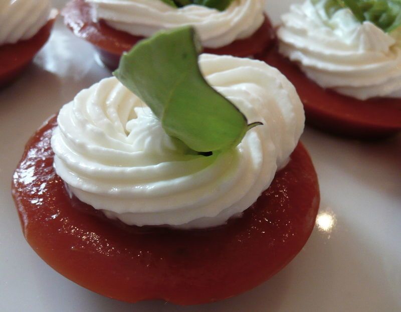 blog_tart_tom_2