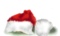 noel_pt-92.gif