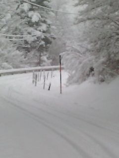 Neige 30 01 2014